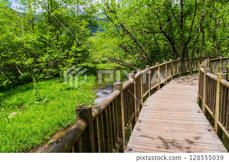 上高地風景“大正池畔的散步棧橋” 128555039