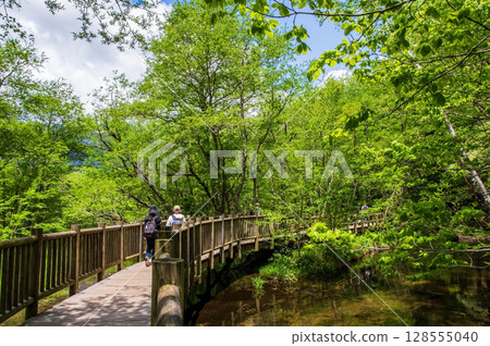 Scenery of Kamikochi "Promenade Pier near Taisho Pond" 128555040