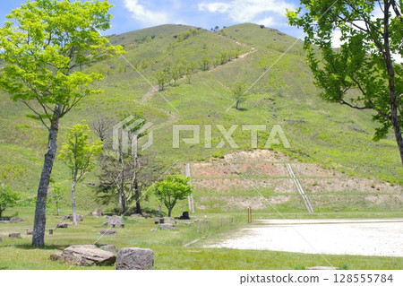 Deep sea mountain of fresh green 128555784