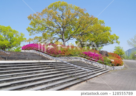 View of Hiroshima City Wide Park View of Hiroshima City Wide Park 128555789