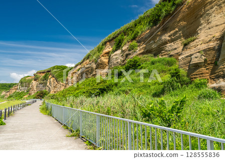千葉縣：屏風浦、夏日藍天 128555836