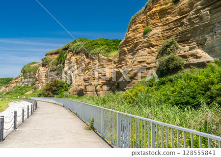 千葉縣：屏風浦、夏日藍天 128555841