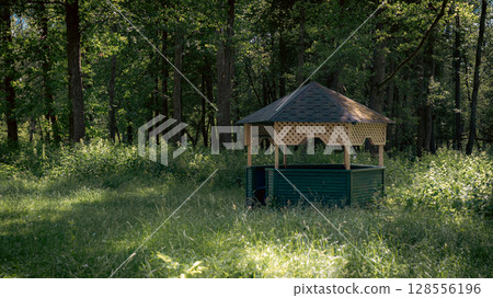 A quaint wooden gazebo stands hidden in the middle of a lush, overgrown forest clearing. 128556196