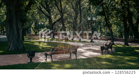 A series of empty park benches sit in the shade of tall trees, providing a cool and peaceful retreat 128556225