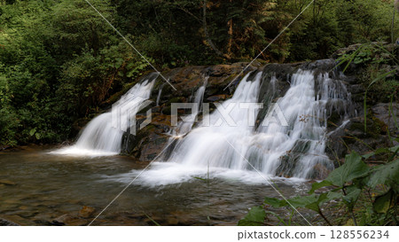 This tranquil waterfall flows gracefully over rocks, with vibrant green plants framing the scene. This tranquil waterfall flows gracefully over rocks, with vibrant green plants framing the scene. 128556234