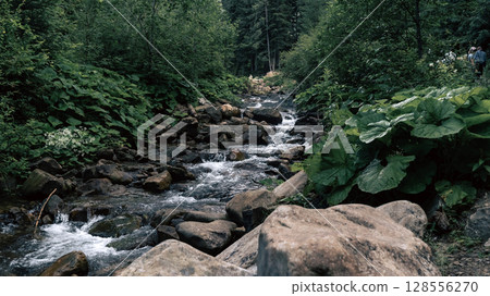 The stream carves a path throug the forest, cascading over stones and creating a peaceful atmosphere The stream carves a path throug the forest, cascading over stones and creating a peaceful atmosphere 128556270
