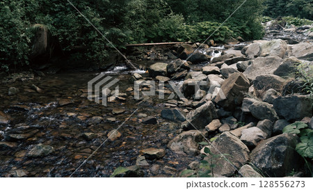 The stream carves a path throug the forest, cascading over stones and creating a peaceful atmosphere 128556273