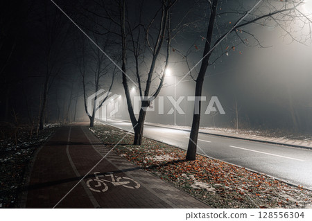 Foggy Night Street with Bicycle Lane and Streetlights Foggy Night Street with Bicycle Lane and Streetlights 128556304