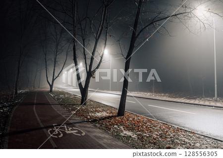 Foggy Night Street with Bicycle Lane and Streetlights Foggy Night Street with Bicycle Lane and Streetlights 128556305