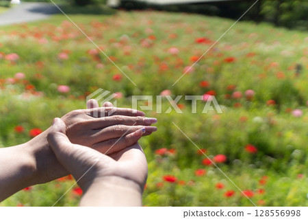 Couple holding hands in a spring flower field ④ Couple holding hands in a spring flower field ④ 128556998