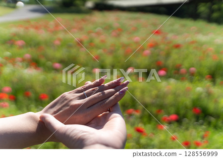 春天花田裡牽手的情侶⑤ 128556999