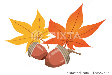 Illustration of acorns and autumn leaves Illustration of acorns and autumn leaves 128557486