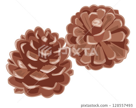 Simple pine cone image illustration Simple pine cone image illustration 128557493