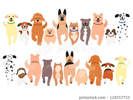 Dogs walking in a group Dogs walking in a group 128557733