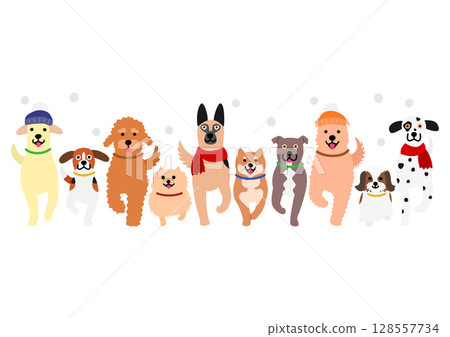 一排可愛的狗狗散步，正面圖，冬天 128557734