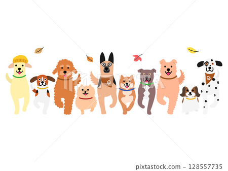 一排可愛的狗狗散步,正面圖,秋天 一排可愛的狗狗散步,正面圖,秋天 128557735