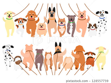 一群狗一起散步 128557739