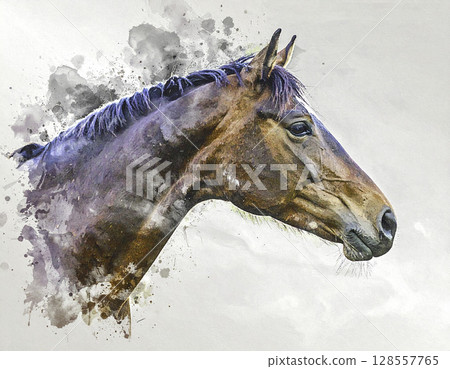 Watercolor art style, realistic horse profile illustration (chestnut, realistic, artistic) 128557765