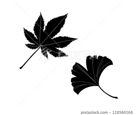 一組黑白秋葉和銀杏葉插圖（有白色邊框） 128560168