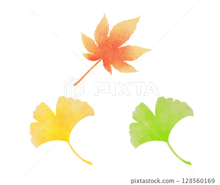 色彩繽紛的落葉(秋葉、銀杏)水彩插圖集 色彩繽紛的落葉(秋葉、銀杏)水彩插圖集 128560169