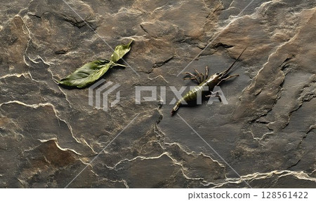 Green insect on dark textured stone macro nature photography 128561422