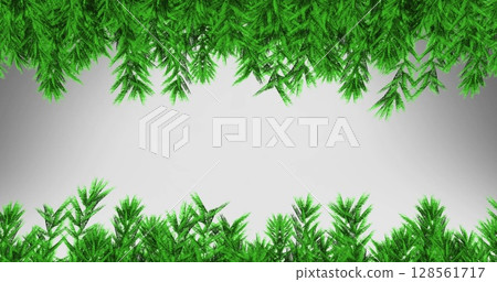 Image of fir trees branches over white background 128561717