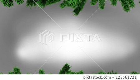 Image of fir trees branches over white background 128561721