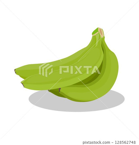 Vector illustration of bunches banana in cartoon flat style. Sweet yellow and green fresh banana fruit bright healthy food for diet or vegetarian isolated on white background. Vector illustration of bunches banana in cartoon flat style. Sweet yellow and green fresh banana fruit bright healthy food for diet or vegetarian isolated on white background. 128562748