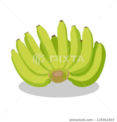 Vector illustration of bunches banana in cartoon flat style. Sweet yellow and green fresh banana fruit bright healthy food for diet or vegetarian isolated on white background. Vector illustration of bunches banana in cartoon flat style. Sweet yellow and green fresh banana fruit bright healthy food for diet or vegetarian isolated on white background. 128562803