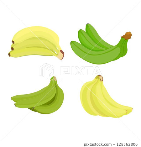 Vector illustration of bunches banana in cartoon flat style. Sweet yellow and green fresh banana fruit bright healthy food for diet or vegetarian isolated on white background. Vector illustration of bunches banana in cartoon flat style. Sweet yellow and green fresh banana fruit bright healthy food for diet or vegetarian isolated on white background. 128562806