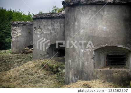 Old concrete bunkers stand weathered in a grassy field, remnants of a bygone era of military defense 128562897