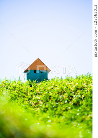 住房的形象 128563012