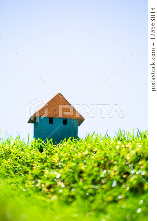 住房的形象 128563013