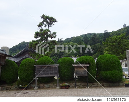 Soreisha Soreisha 128563170