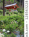 繡球花 繡球花園 繡球花寺 三室戶寺 京都府宇治市 京阪宇治線 花語寺 雨季 128563228