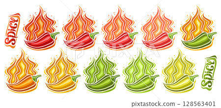 Vector Spicy Chili Pepper Set Vector Spicy Chili Pepper Set 128563401