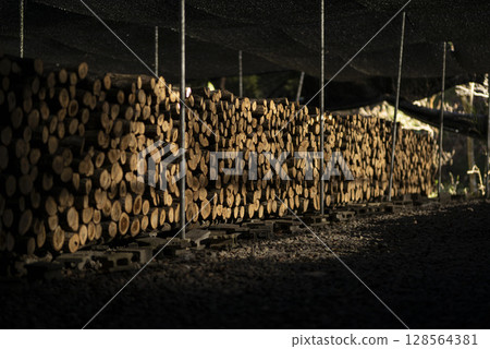 Stacked firewood Stacked firewood 128564381