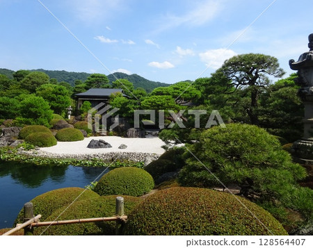藍天和花園 128564407