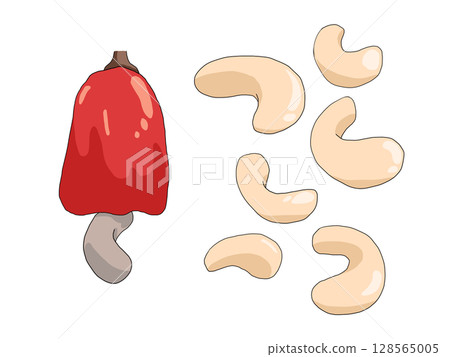 腰果的插圖 128565005