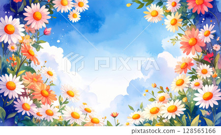 向天空綻放的洋甘菊花的框架材料 128565166