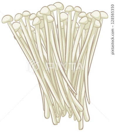 Minimalist Enoki Mushroom Vector Illustration Minimalist Enoki Mushroom Vector Illustration 128565350
