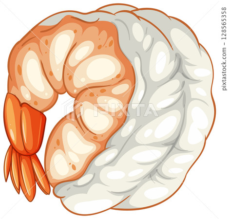 Detailed Vector Illustration of Shrimp Detailed Vector Illustration of Shrimp 128565358