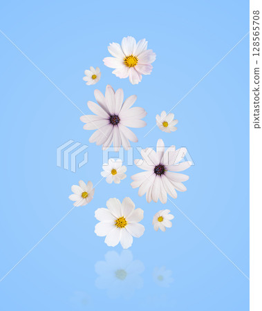 Colorful summer autumn background of flowers white cosmos, dahlias, osteospermum. Floral Greeting card. Happy Mother's Day greeting card, happy Easter, March 8th, happy birthday Colorful summer autumn background of flowers white cosmos, dahlias, osteospermum. Floral Greeting card. Happy Mother's Day greeting card, happy Easter, March 8th, happy birthday 128565708