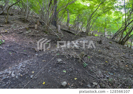 大谷嶺，奧多摩三大陡峭山峰之一 128566107