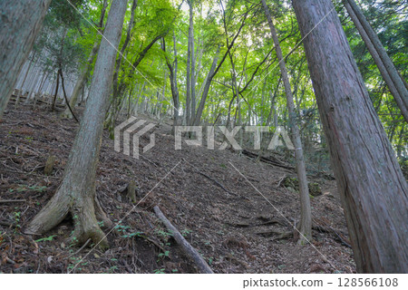 Oyakyuba Ridge, one of the three steepest climbs in Okutama 128566108