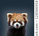 小熊貓 128566958