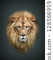 獅子的臉 128566959