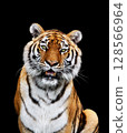 虎 128566964
