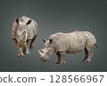 白犀牛 128566967