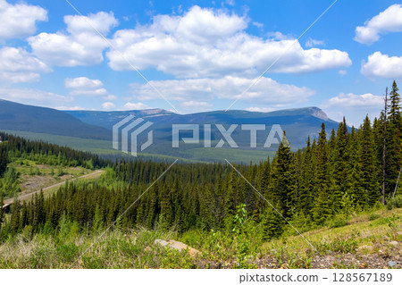 Forested mountains and meadows in summertime under blue sky. 128567189